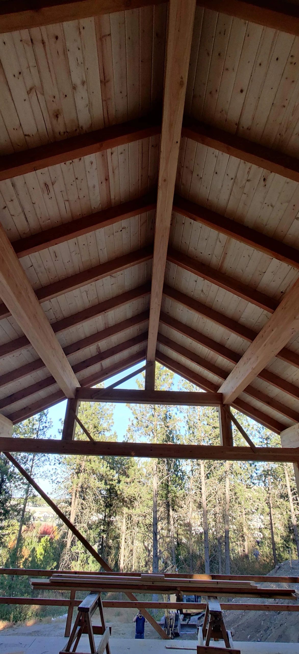 Vaulted timber roof detail with exposed wood structure and open framing below